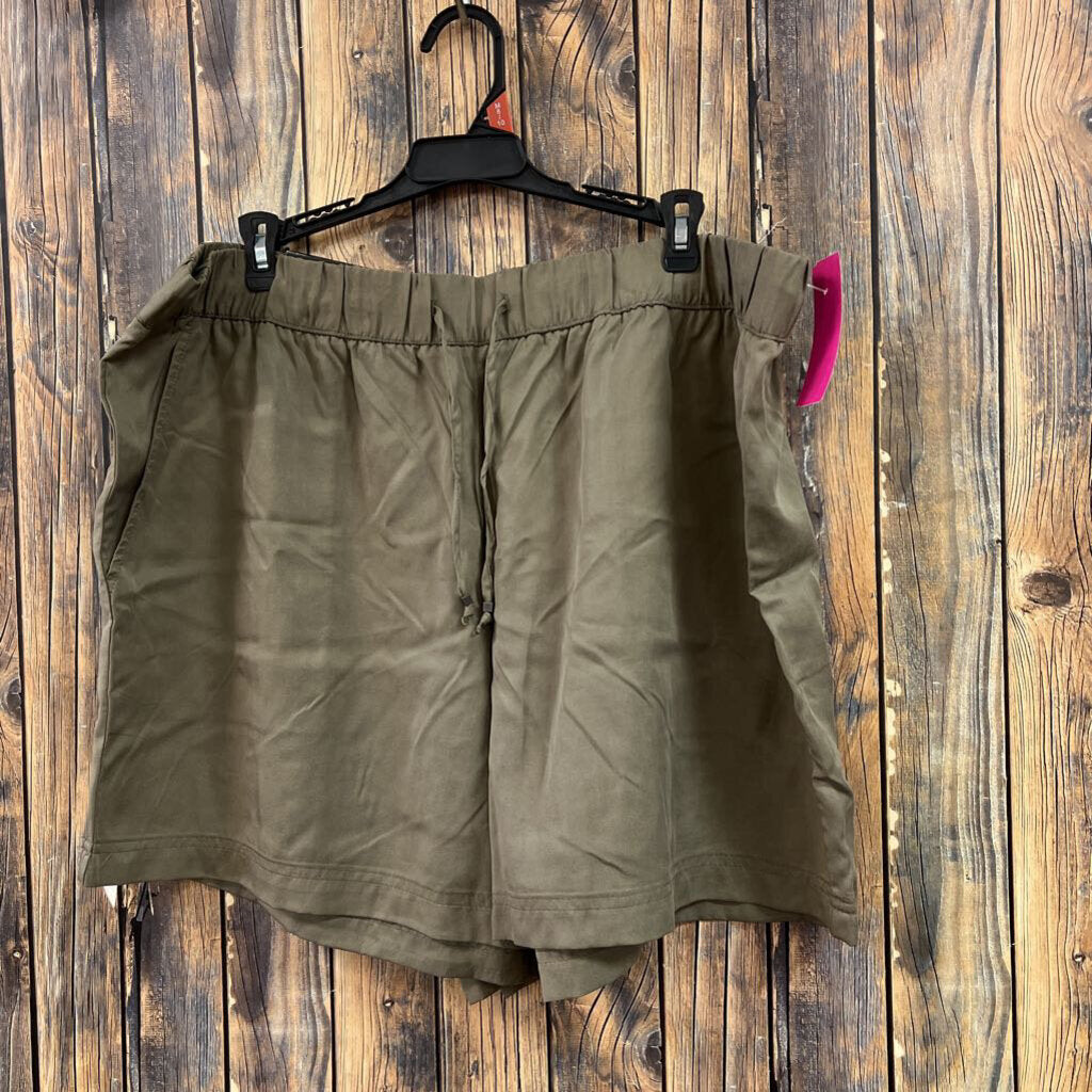 Banana Republic Green Shorts, NWT Women's 18