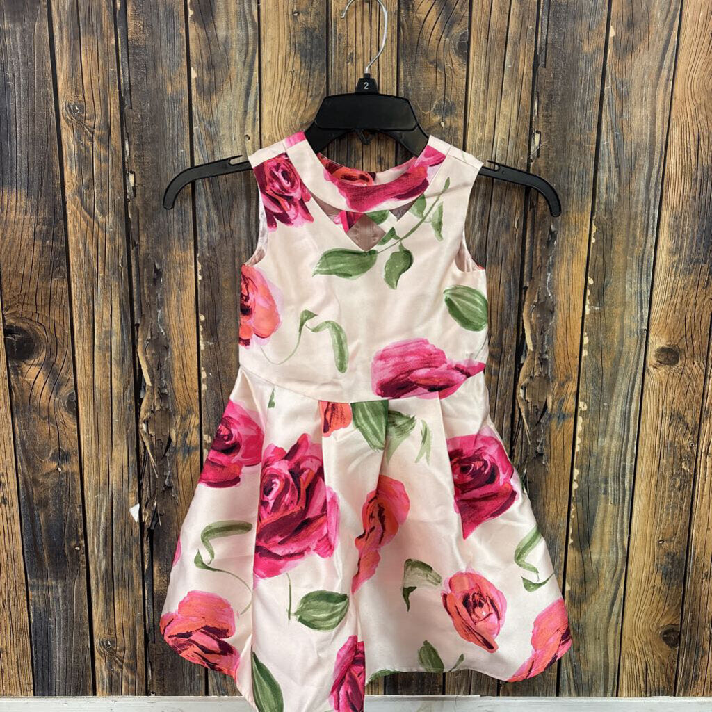 NWT Childrens Place Rose Dress, Girls 5