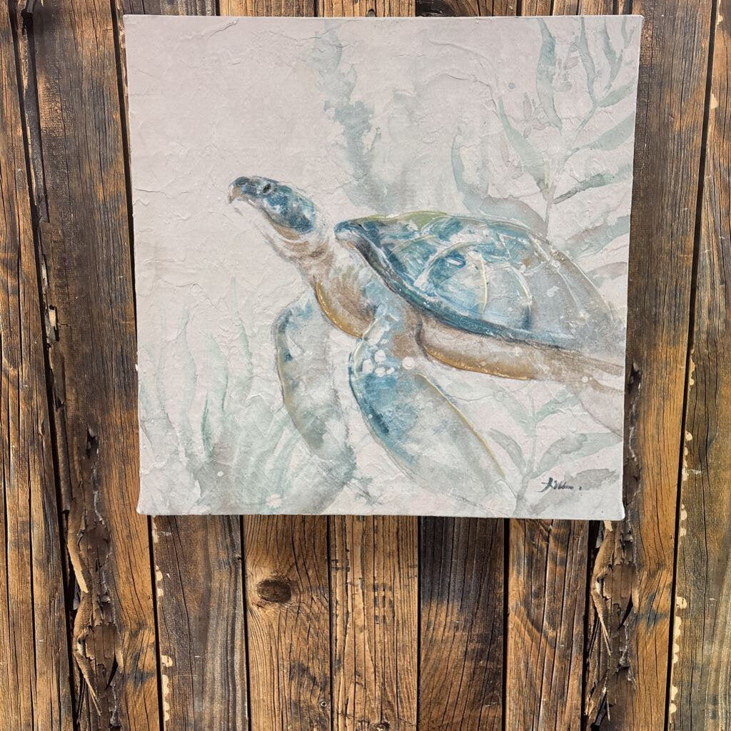 Sea Turtle Canvas, 14x14in No Shipping