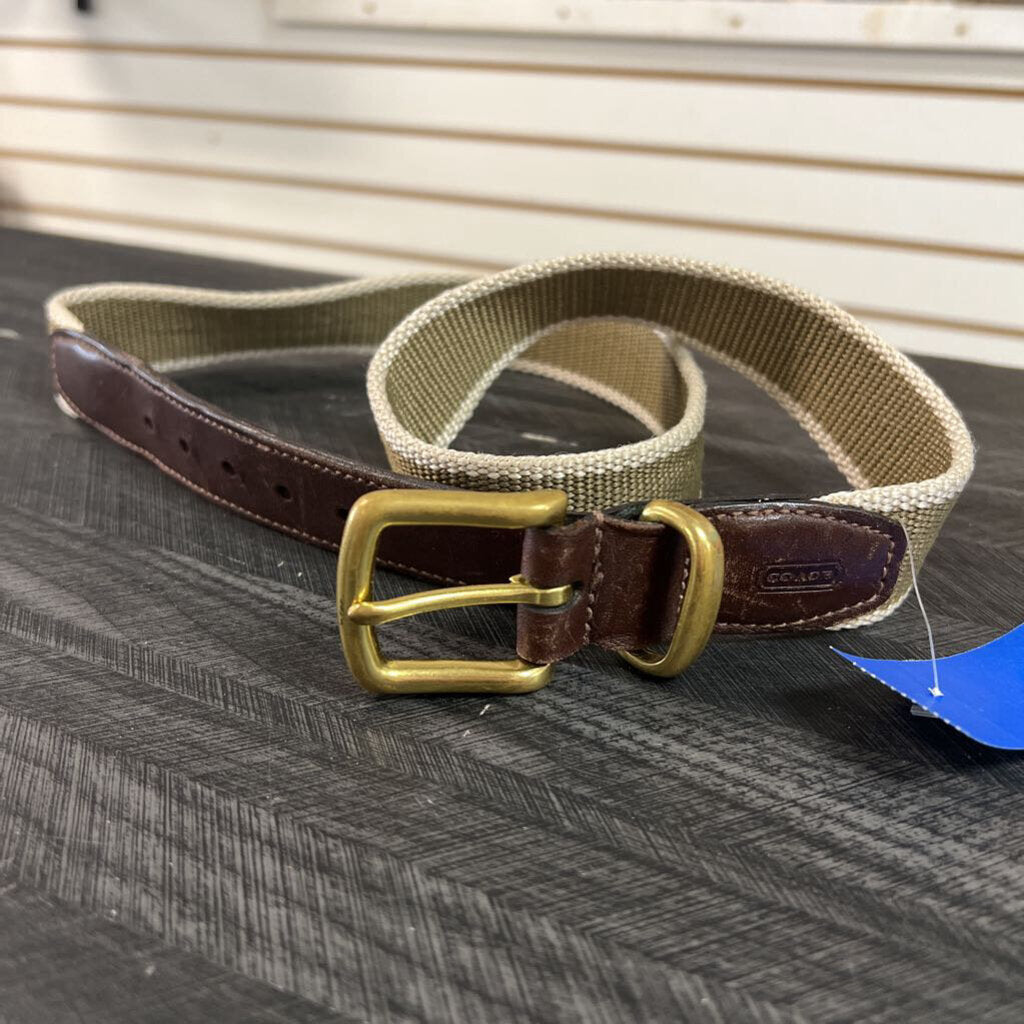 Coach Belt, Women's