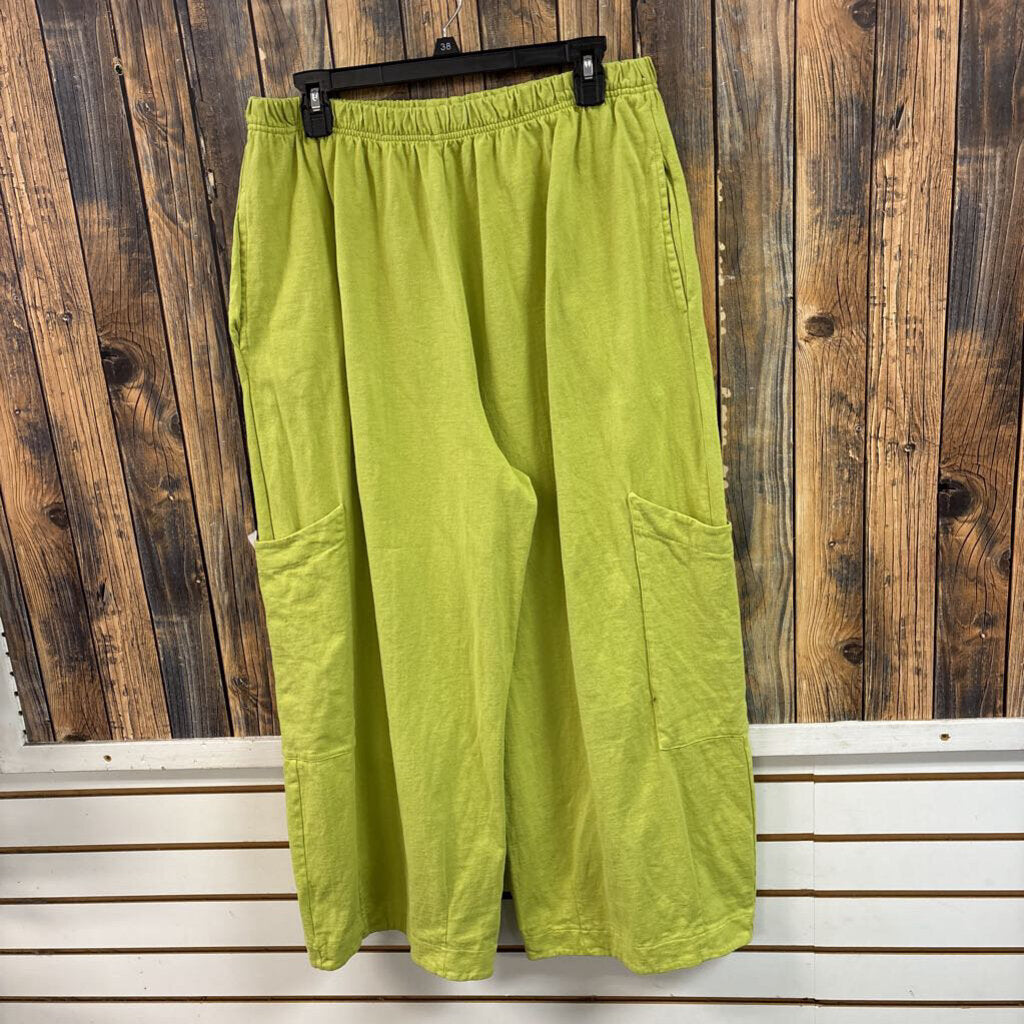 Bryn Walker Green Pants, Womens Xl