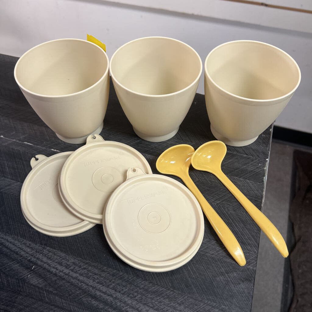 Tupperware Condiment Caddy Server Set