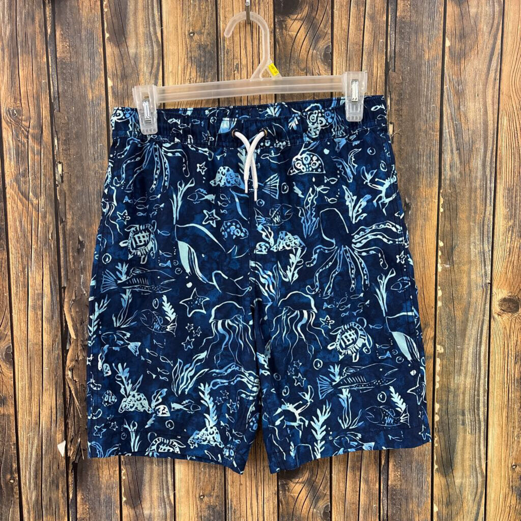 Lands End Blue Swim Trunks, Boys 14/16
