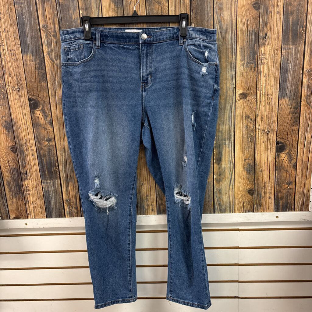 Lane Bryant Distressed Jeans Women's Size 16