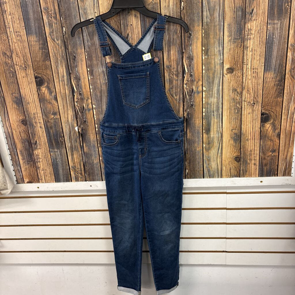 Blue Jean Overalls Girl's Size 10/12