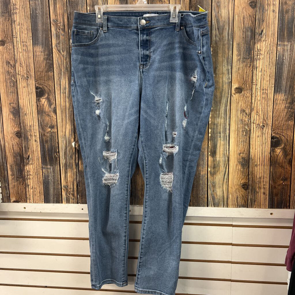 Lane Bryant Distressed Jeans (1), Womens 16