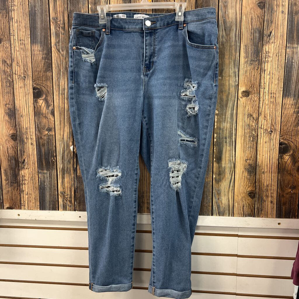 Lane Bryant Distressed Jeans (2), Womens 16