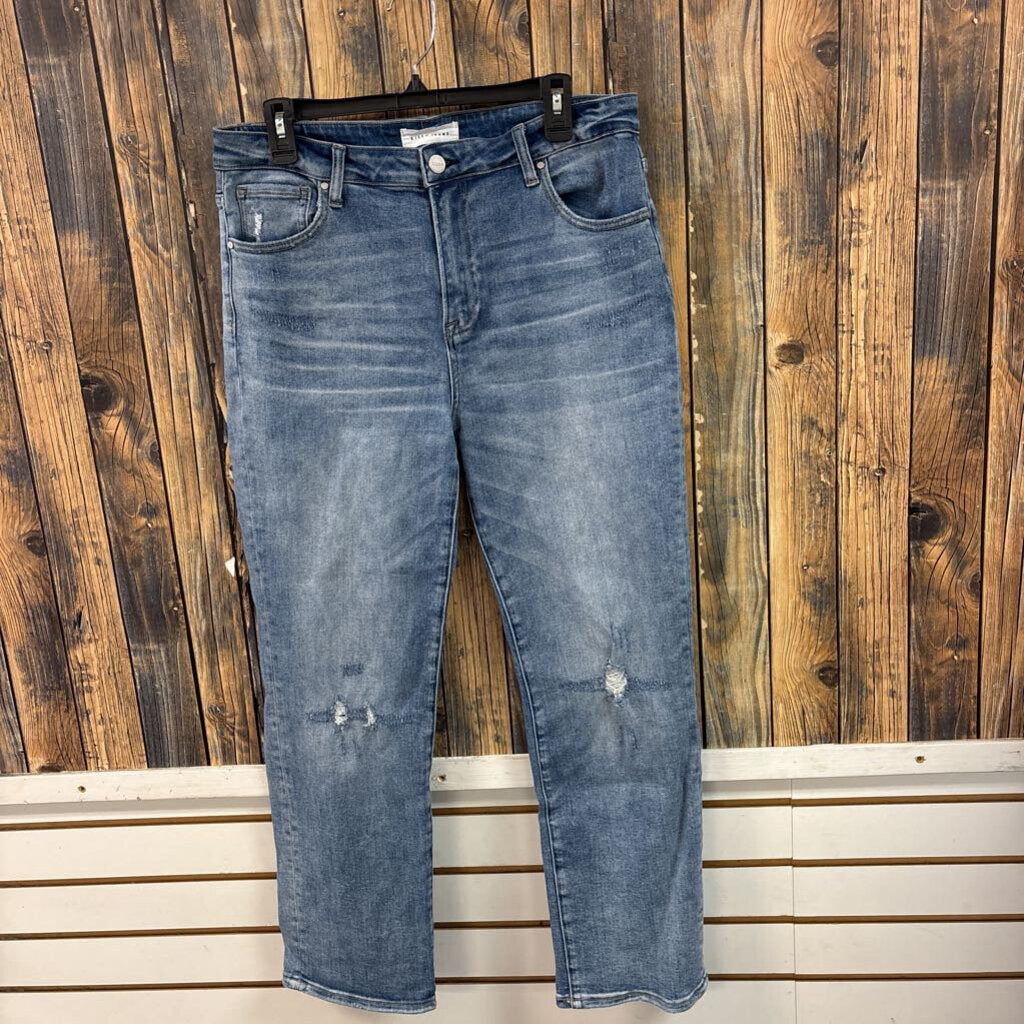 Risen Distressed Jeans, Womens 15/32