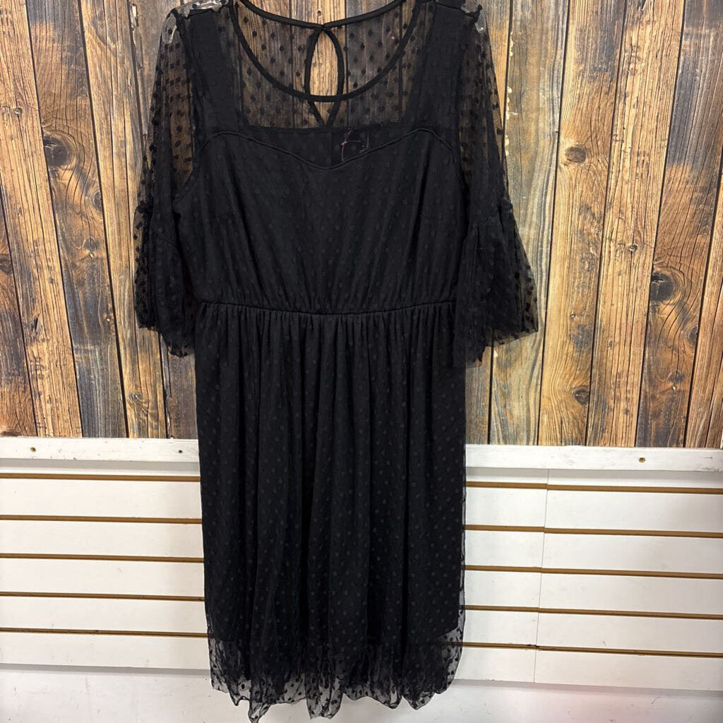 Layne Bryant Black Dress, Women's 16