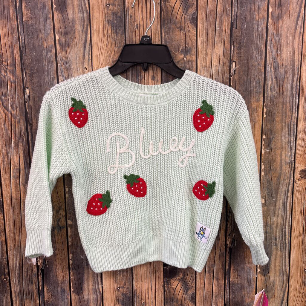 NWT Bluey Sweater (1), Girls 4T