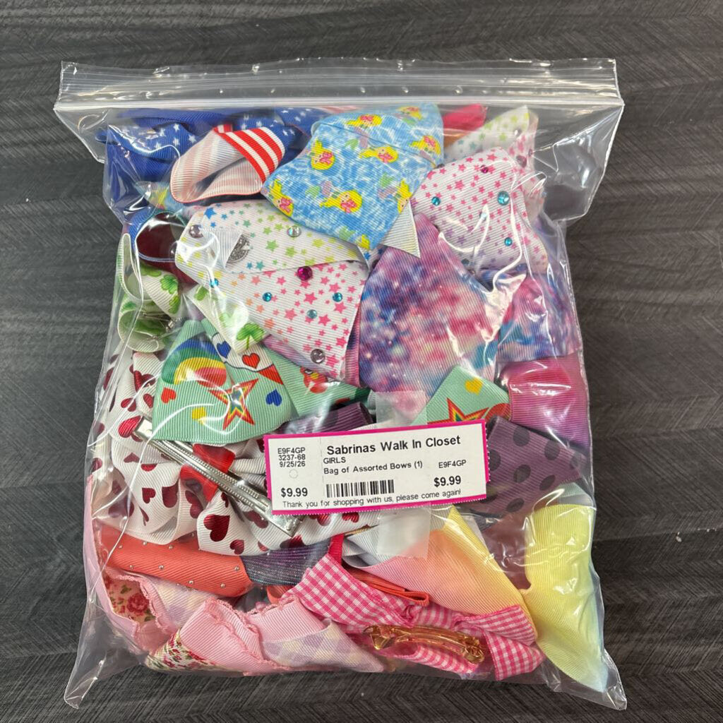 Bag of Assorted Bows (1)