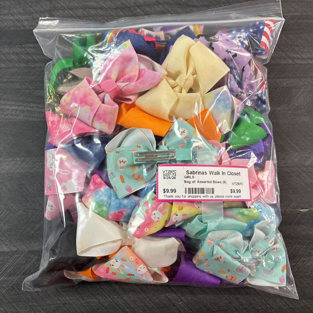 Bag of Assorted Bows (6)