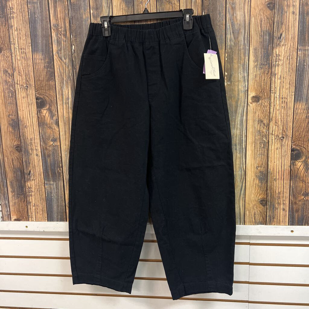 NWT Universal Threads Black Cargo Pants, Mens M