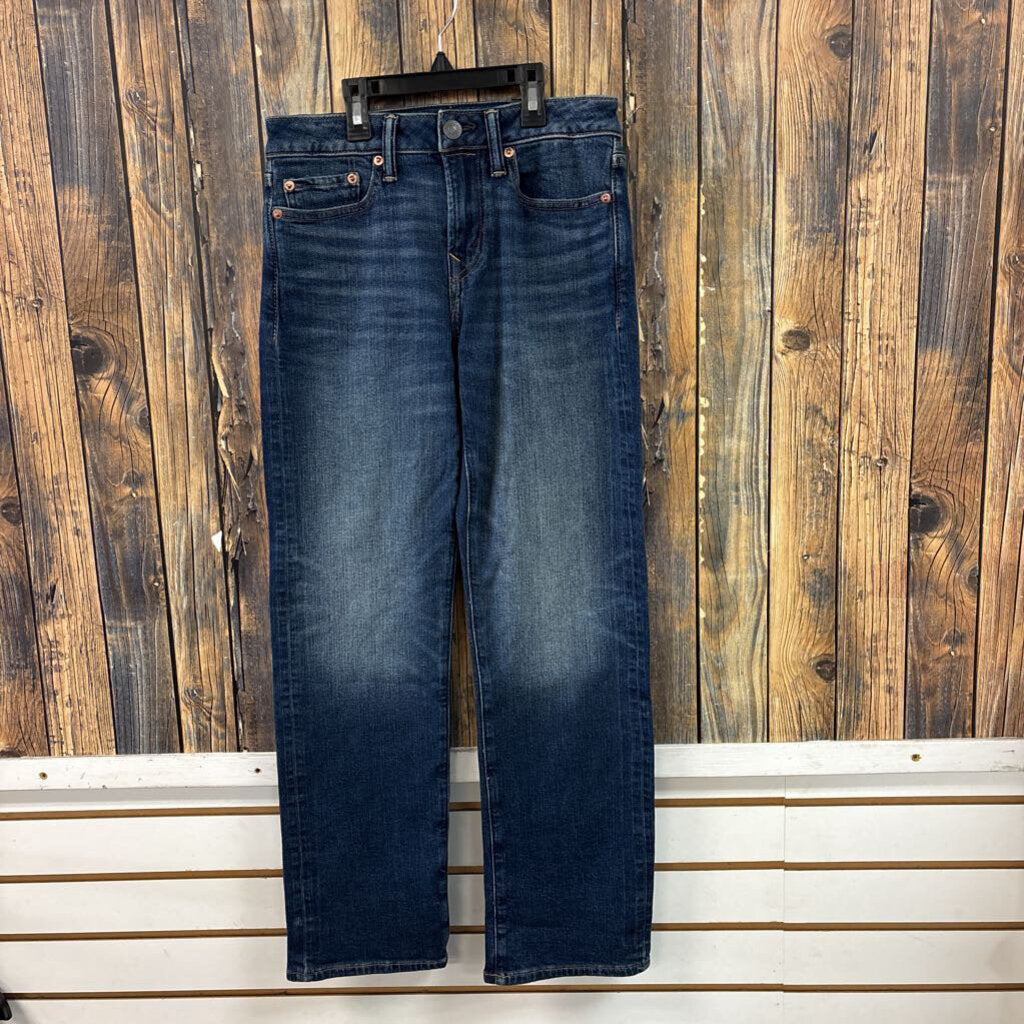 NWT American Eagle Jeans, Men's 26/28