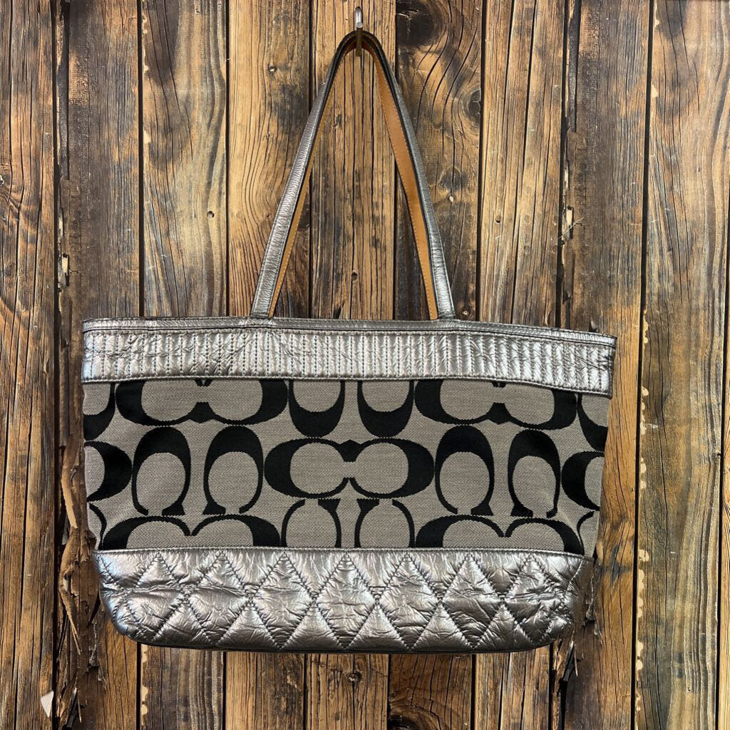 Coach Purse - 16x9